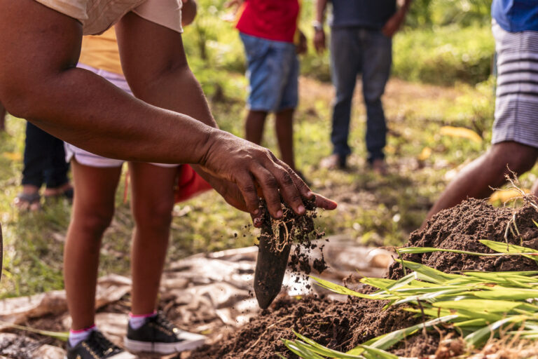Maranhão é destaque nacional na recuperação de áreas degradadas
