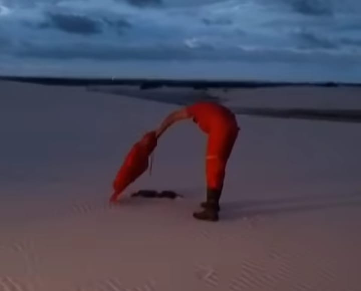 Sucuri é resgatada nos Lençóis Maranhenses