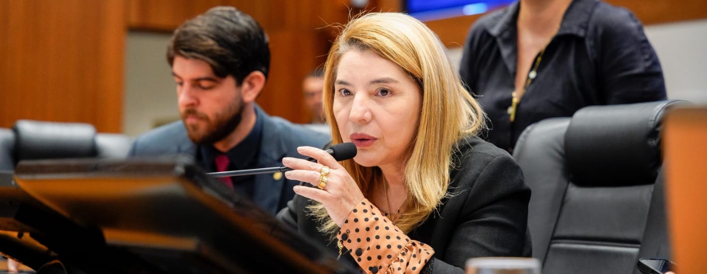 Aprovado PL de Iracema Vale que cria política de atenção e reintegração social de dependentes de drogas