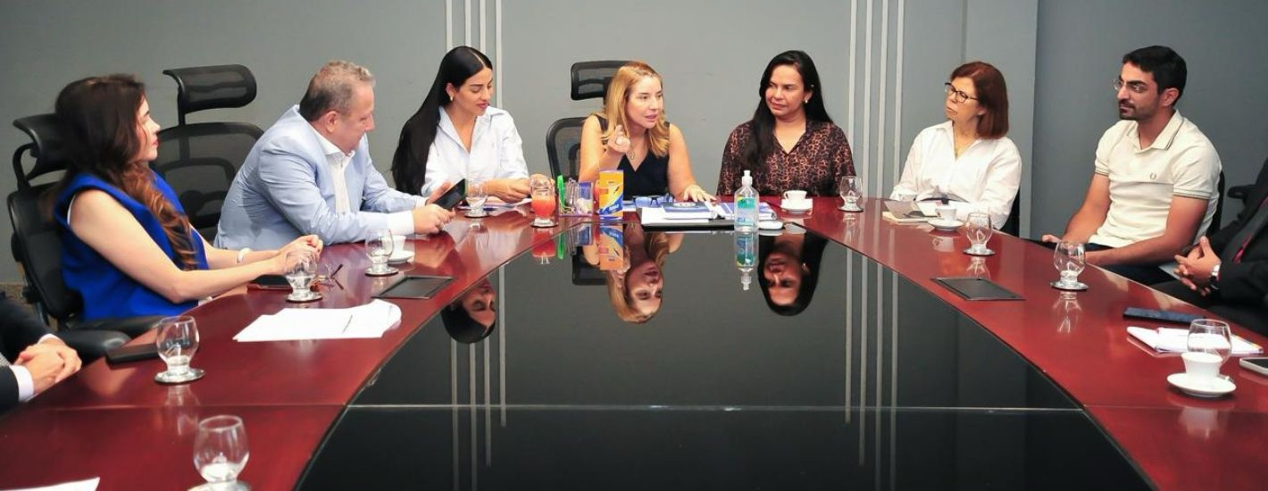 Iracema Vale recebe instituições em reunião de agradecimento pela defesa e proteção das mulheres